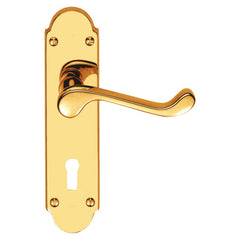 Shaped Scroll Lever on Back Plate lever lock - Smooth Fisnish - 168mm X 40mm